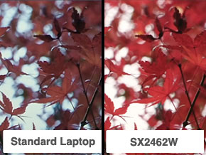 Standard Laptop / SX2462W